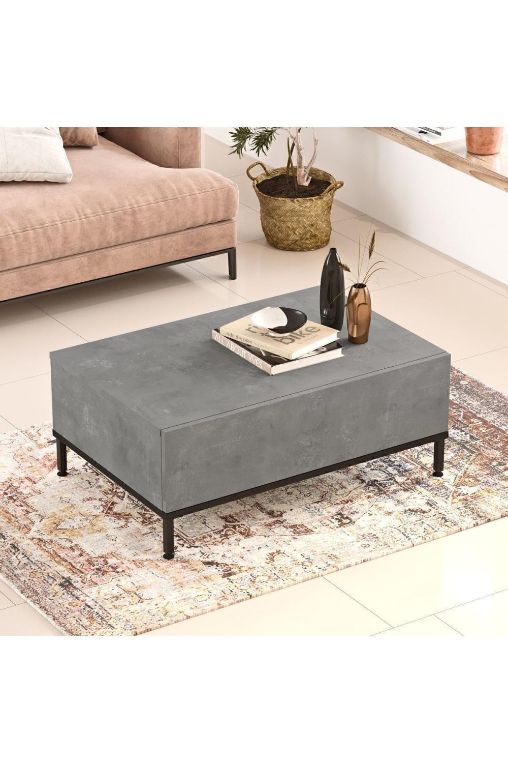 Arya Table basse Métal Sur pieds Avec portes Béton-Noir ARY31-RL