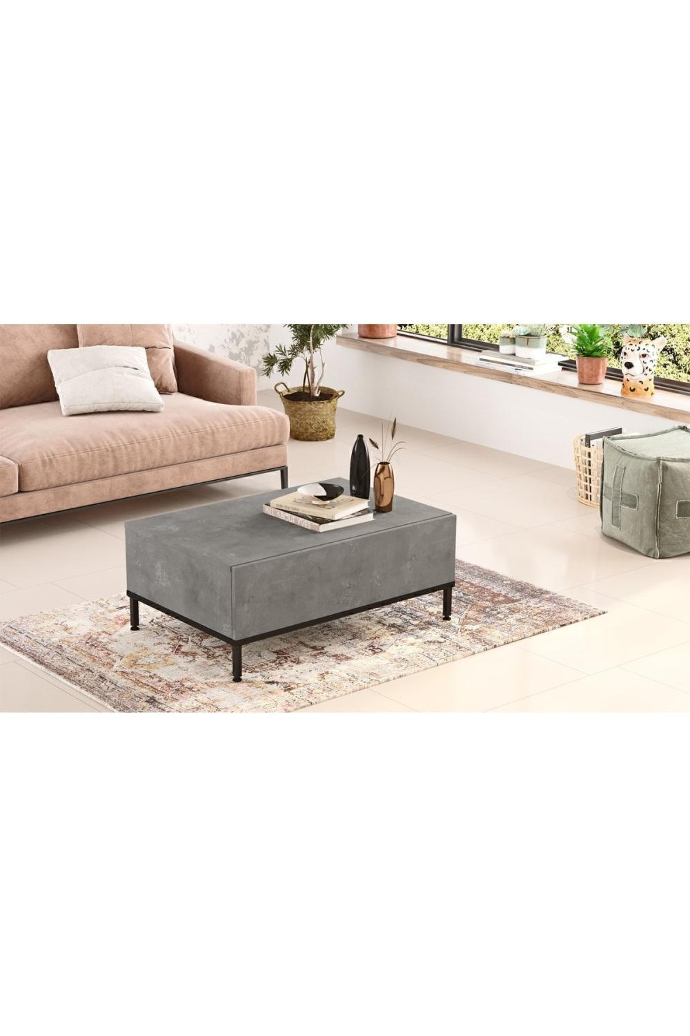 Arya Table basse Métal Sur pieds Avec portes Béton-Noir ARY31-RL